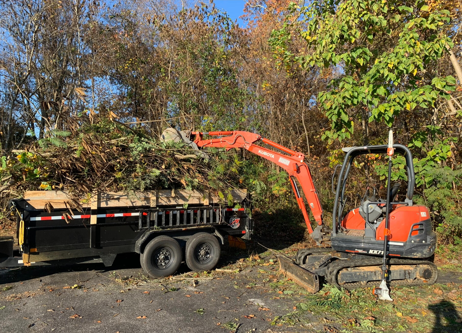 Moving brush with excavator