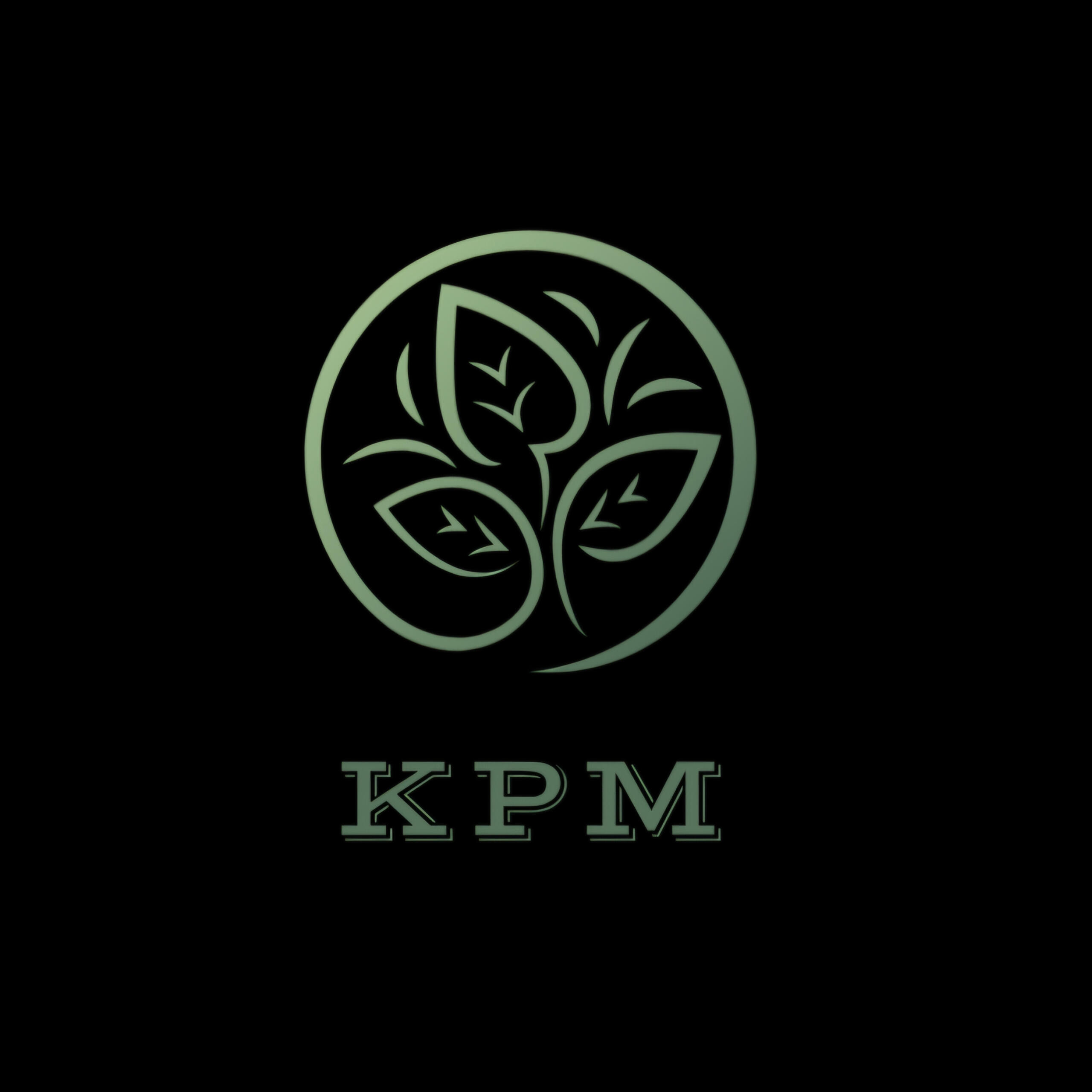 King property maintenance logo