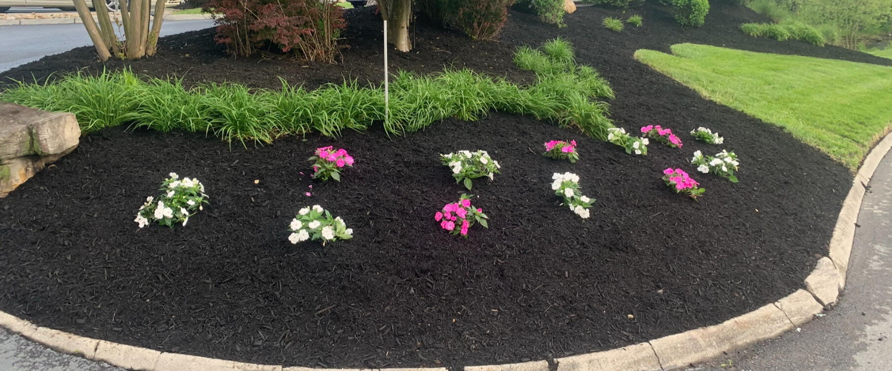 Mulch bed with flowers