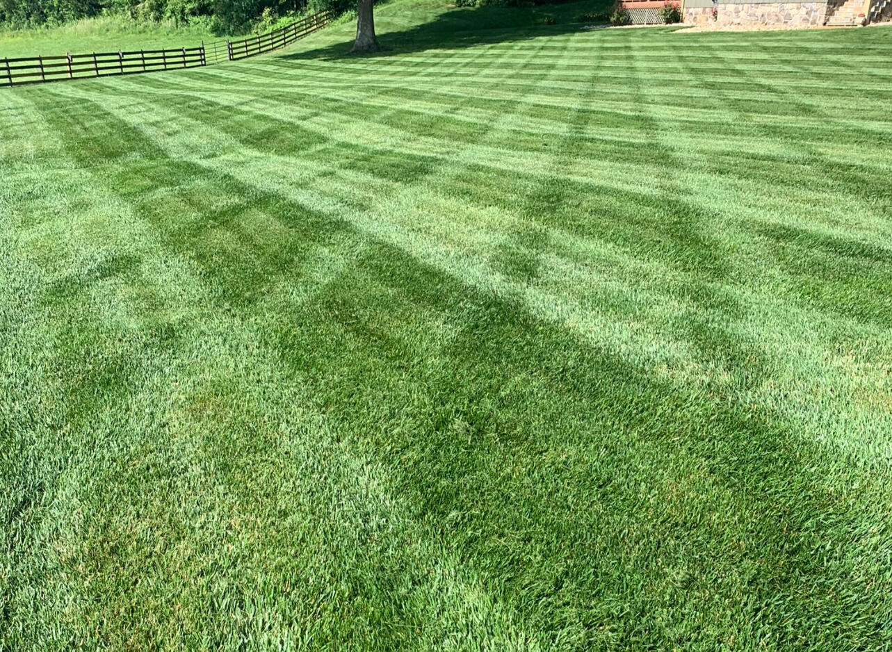 Lawn cut with stripes